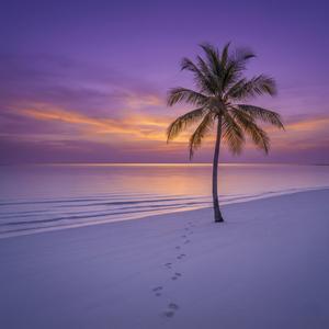 Neon Footsteps