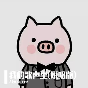 我的歌声里（说唱）