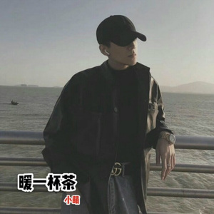 铁甲战马英雄魂 (DJ版)