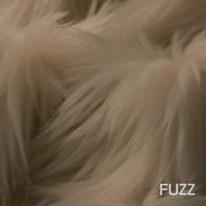 FUZZ