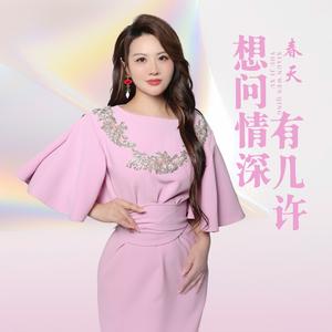 想问情深有几许 (伴奏)
