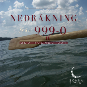 660-613 (Med åror)