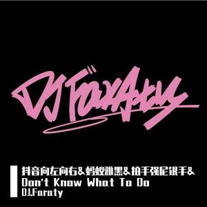 Ezra Hazard-抖音向左向右&蚂蚁雅黑&拍手强尼银手& Don't Know What To Do（DJ.Faraty remix）