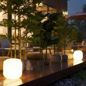 In My Tender Embrace