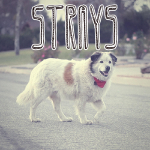 Strays