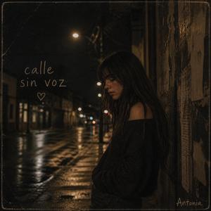 Calle Sin Voz
