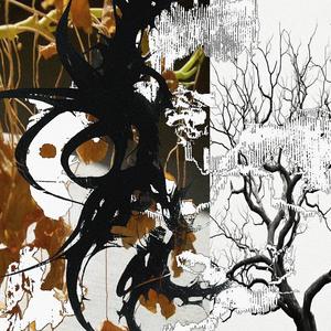 all my plants r dying (feat. kojo)