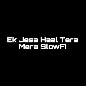 Ek Jesa Haal Tera Mera SlowFi (1)