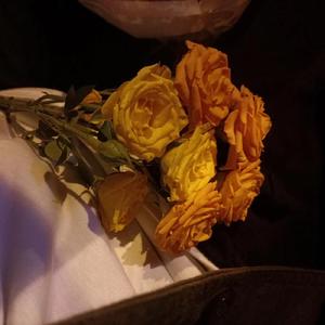 克制（Prod.sleepy＆RoyalBoyBrazy）