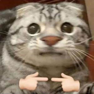 猪猪侠主题曲.（翻唱片段）