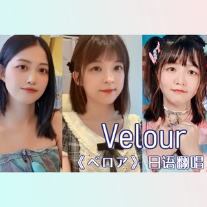 ベロア（Velour/天鹅绒）