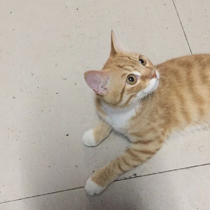 你黑头发的那会儿