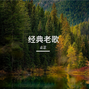 蝶儿蝶儿满天飞