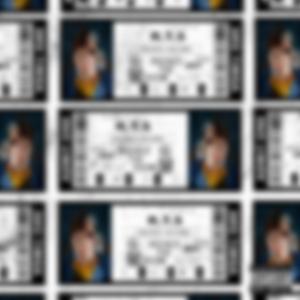 R.T.S.(Rocked The Show)