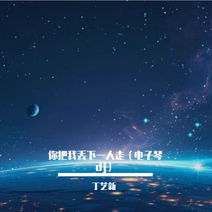 你丢下我独自一人走（电子琴dj版）