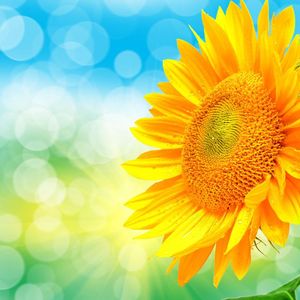 远去的青春_96khz_16bit