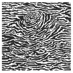 Circle in the Square