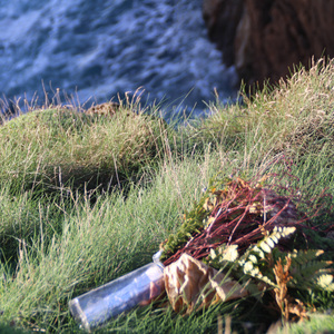祝我幸福+雪落下的声音