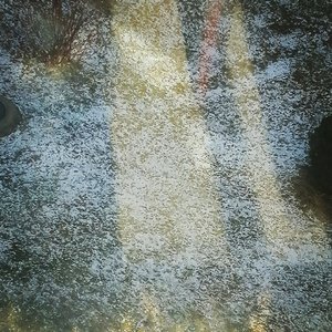 2021 1224 谢谢爱 第一天