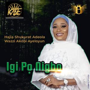 Igi Po Nigbo (feat. King Bdex Entertainment)