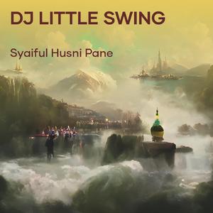 Dj Little Swing