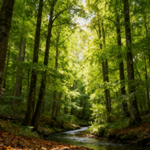 治愈钢琴｜幽梦