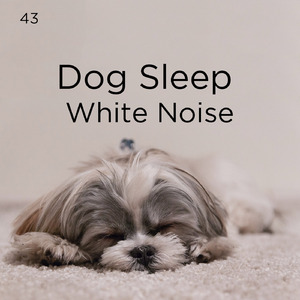 잠자는 팬 소리