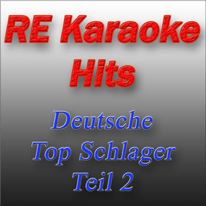Maschendrahtzaun (Karaoke Version) (Originally Performed By Stefan Raab)