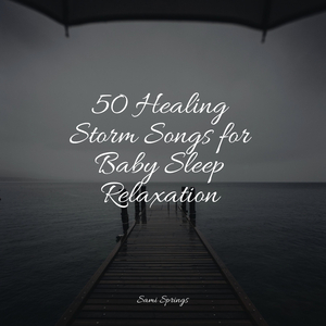 Rain, Storm and Thunder