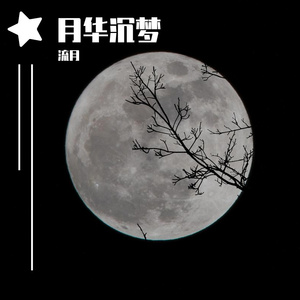 月华沉梦