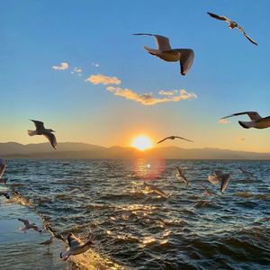 回不去的从前（温柔合唱版）