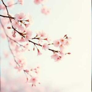 _달려가는 서울버스