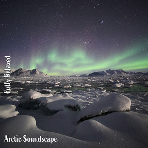 Arctic Soundscape, Pt. 7