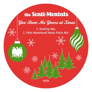 You Show Me Yours At Xmas (Pete Hammond Mix)