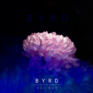 Byrd