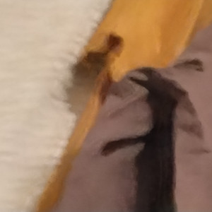 タイムマシンにゃオネエがいい （demo）