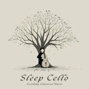 巴赫 古诺 圣母颂