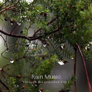 Perfect Rainy Day