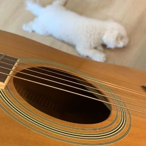 我的心底（Demo)