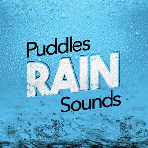 Rain on the Pane