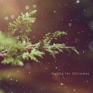 Wating For Christmas