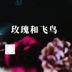 玫瑰和飞鸟 (伴奏)
