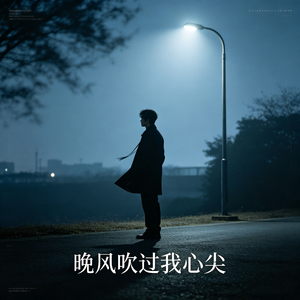 晚风吹过我心尖