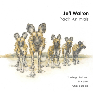 NQT (feat. Santiago Leibson, Eli Heath & Chase Elodia)