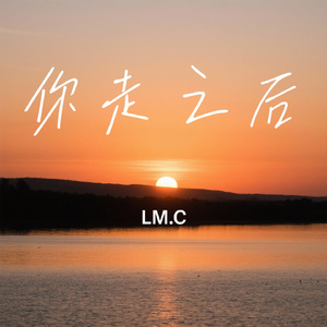 你走之后
