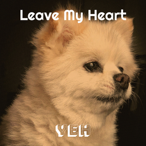 Leave My Heart