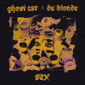 Sex (Du Blonde Remix)