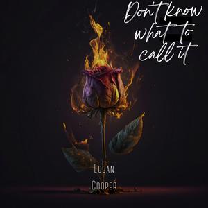 Don't Know What To Call It