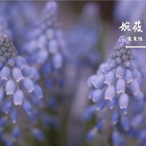 记忆里的你 伴奏