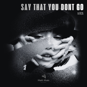 Say That You Dont Go